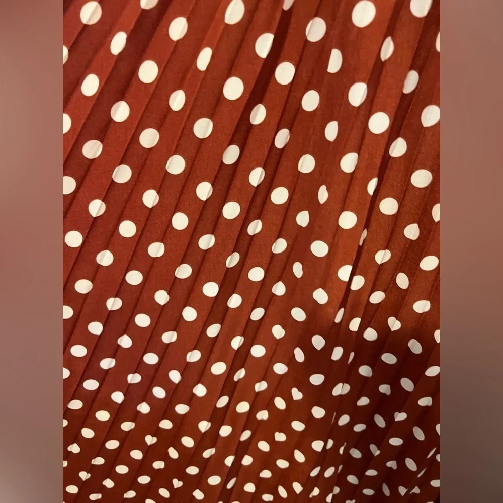 Vada Winter Rust Brown Polka Dot Skirt